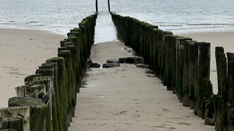 04-05-2024 Middelburg-Vlissingen-Zoutenlanden 25KM