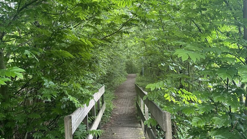 18-05-2024 Rondje Zwolle 40KM
